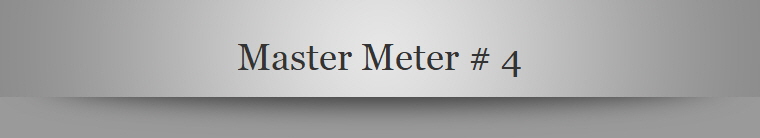 Master Meter # 4